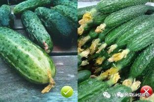 花花的瓜怎么吃,解锁美味新体验