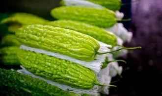 这是最后悔吃的瓜,盘点那些让人追悔莫及的“最后悔吃的瓜”