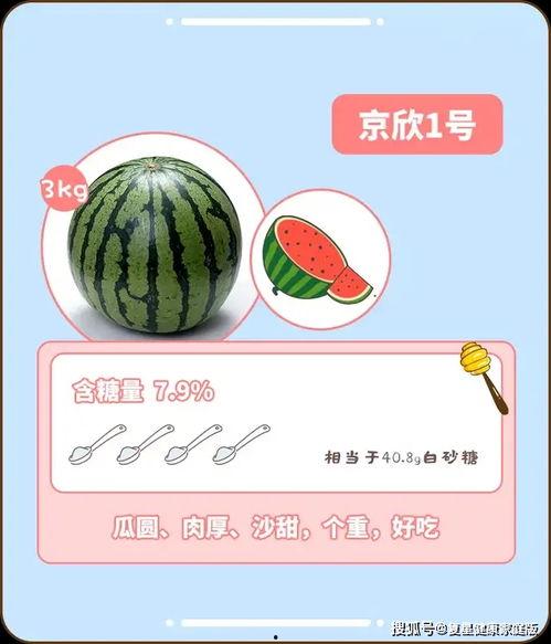 每日吃瓜指南