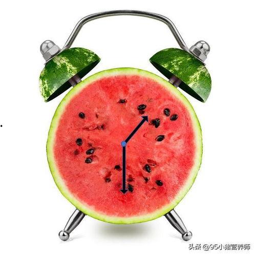 快乐吃瓜烦着呢,烦忧尽消——揭秘现代人的减压新方式