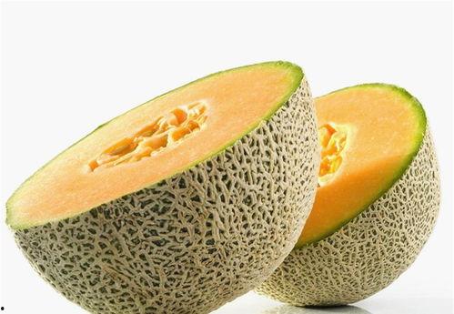 小孩子可以吃哈密瓜吗,哈密瓜的营养与食用指南