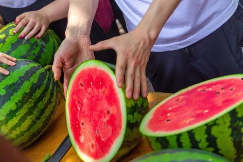 学校的吃瓜事件,揭秘校园吃瓜事件的背后真相