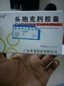 吃头孢可以吃离瓜吗,安全饮食搭配指南