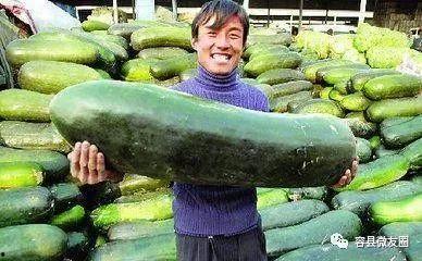 不爱学习吃瓜,揭秘当代年轻人的生活态度