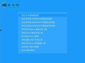 班级吃瓜系统,揭秘校园里的“瓜田”盛景