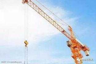 塔吊吃瓜事件,一场意外引发的全民热议