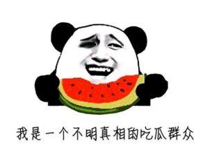 吃瓜群众好牛视频,揭秘网络红人的崛起之路