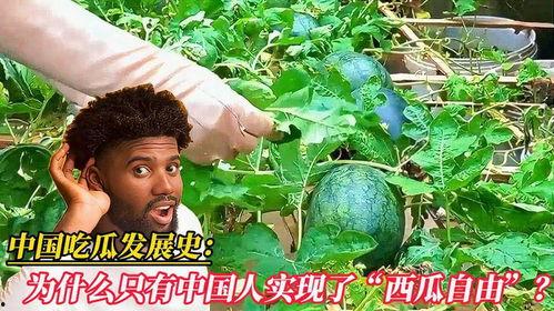河北吃瓜世界,揭秘地方特色美食背后的故事