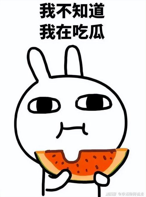 阿果吃瓜,揭秘娱乐圈那些不为人知的幕后故事