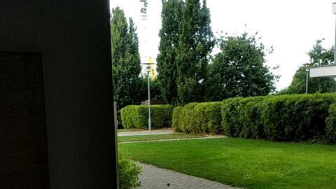 爱尔兰ucd吃瓜,揭秘校园生活与“吃瓜”趣事