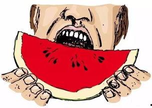 吃瓜小蠢货,网络红人的崛起与争议