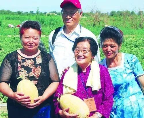 江苏教师吃瓜,揭秘背后真相与反思