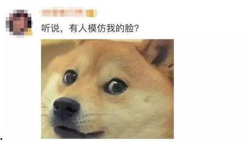 微信吃瓜表情挑衅,揭秘网络社交中的“瓜田效应”