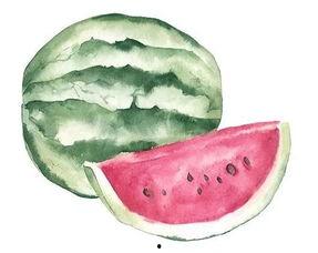 抱着啃吃瓜,揭秘抱着啃吃瓜的独特魅力