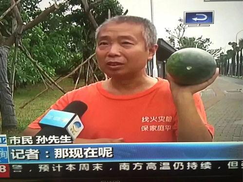 各种热门事件吃瓜事件,揭秘娱乐圈、社会热点背后的真相