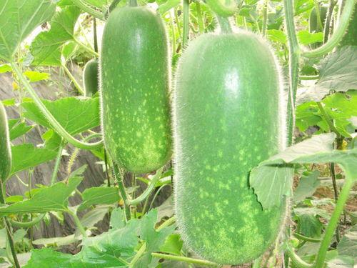 9.14吃瓜,揭秘娱乐圈最新热点事件