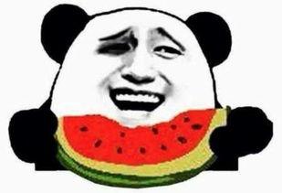 吃瓜群众的相貌,揭秘吃瓜群众的独特相貌特征