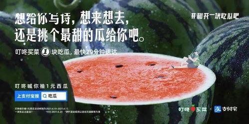 傍晚吃瓜文案,夏日悠闲时光