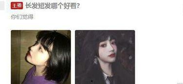 温婉的吃瓜系统,温婉吃瓜系统带你领略明星幕后故事