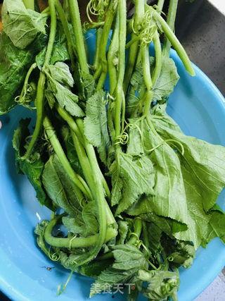 瓜头菜怎么吃,解锁家常美味新境界