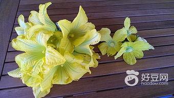 飞yu吃瓜,揭秘娱乐圈那些不为人知的幕后故事