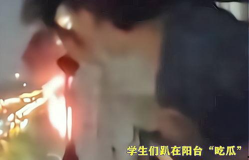 吃瓜逃生,揭秘娱乐圈的生存法则与智慧