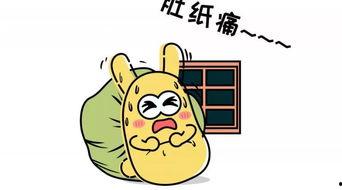 吃瓜外甥图片,萌化网友心