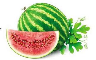 吃瓜又名,吃瓜群众视角下的娱乐圈风云录