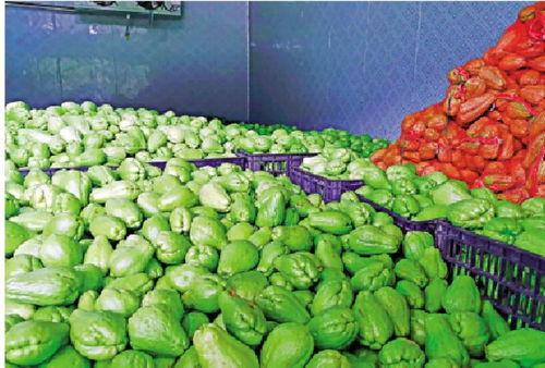 贵州吃的瓜菜,瓜菜飘香，舌尖上的多彩贵州